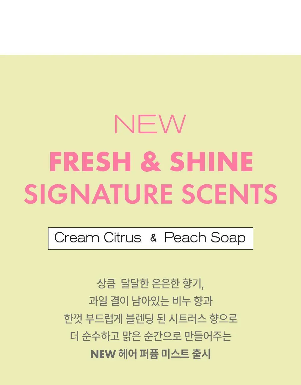 [5월올영픽/올영단독기획] 어뮤즈 헤어 퍼퓸 미스트 한정 기획 (+솔리드퍼퓸밤키링증정) 상세페이지 5